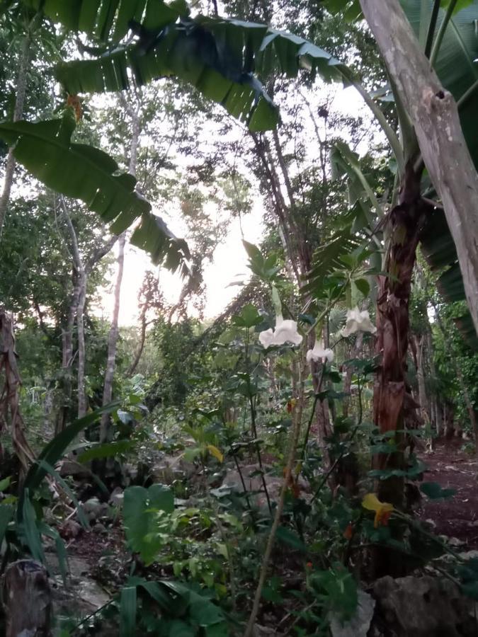 Ecolodge Uh May Francisco Uh May Bagian luar foto