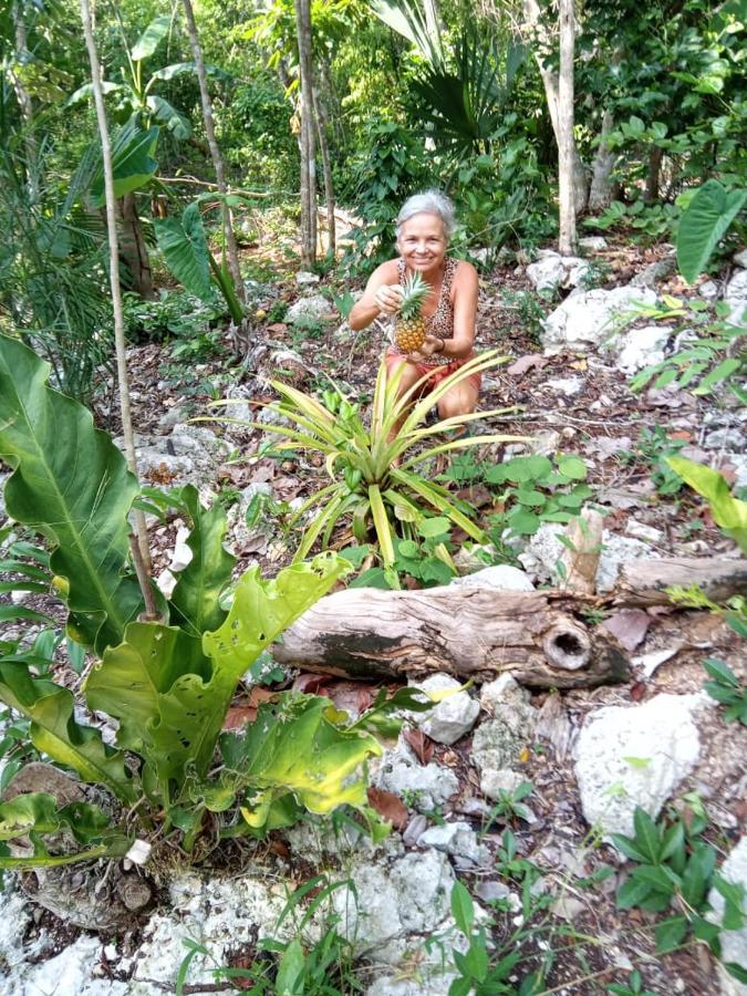 Ecolodge Uh May Francisco Uh May Bagian luar foto